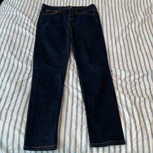 J Crew Skinny Jeans Stretch Size 27/30 28” Inseam
